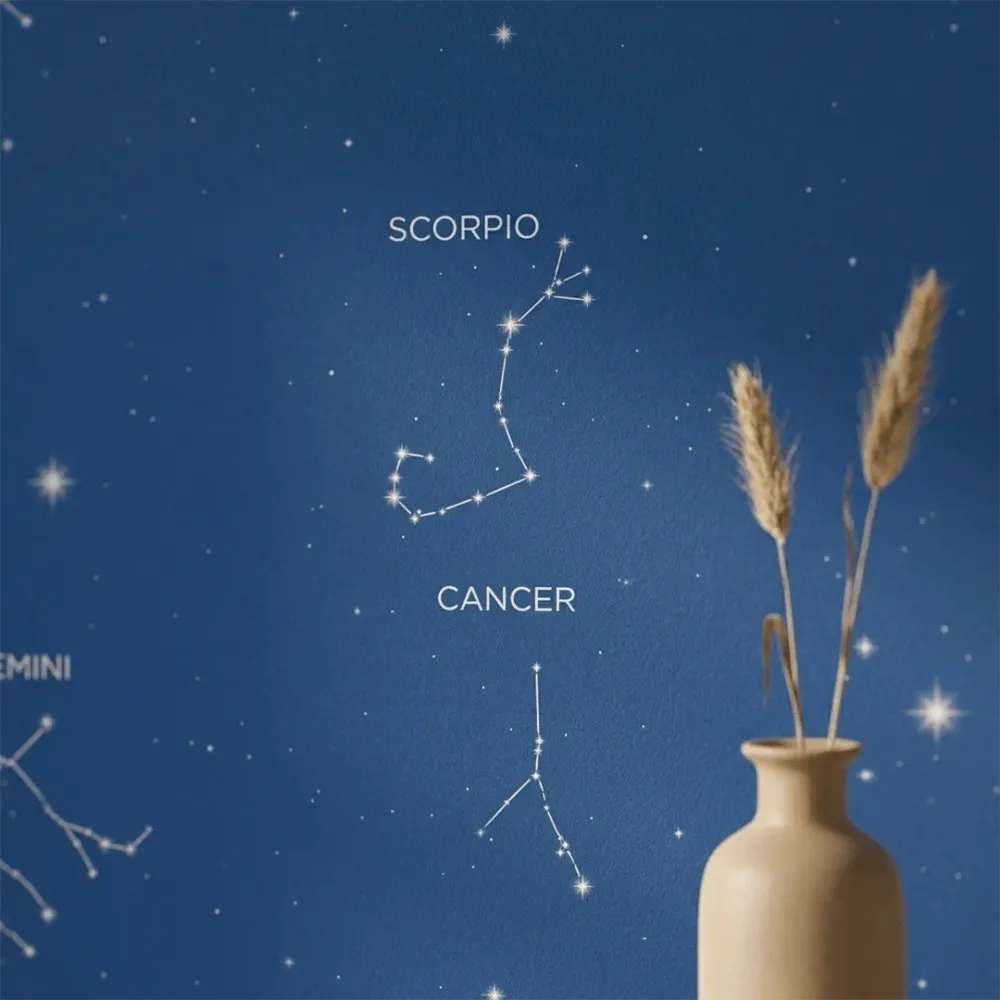 Navy Blue Constellation Wallpaper | Zodiac Star Map Kids Wallpaper