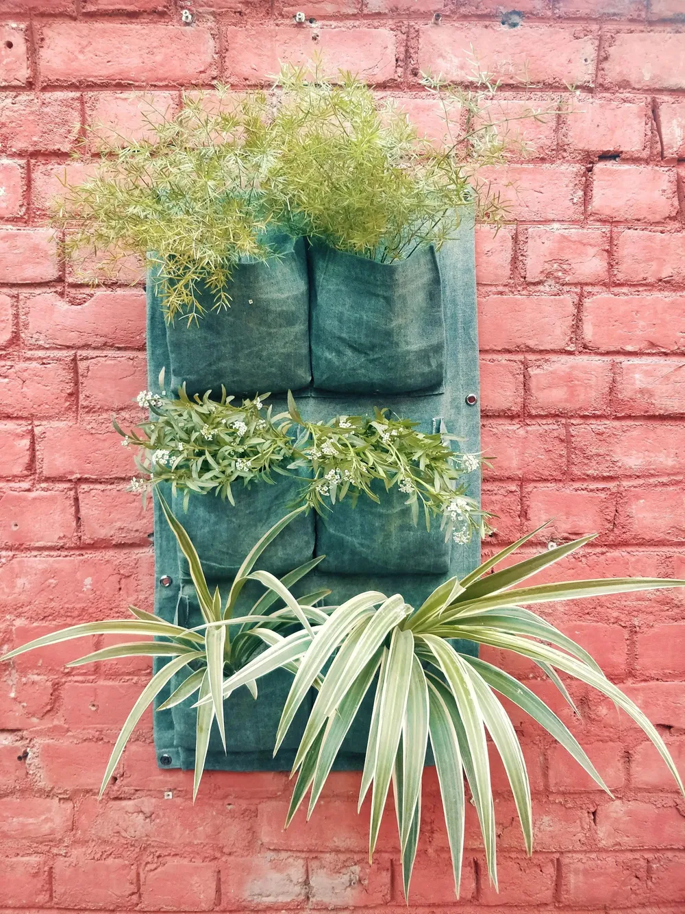 6 Pockets' Elegant Fabric Wall Planter for Green Wall 6 Pockets, Set of 1