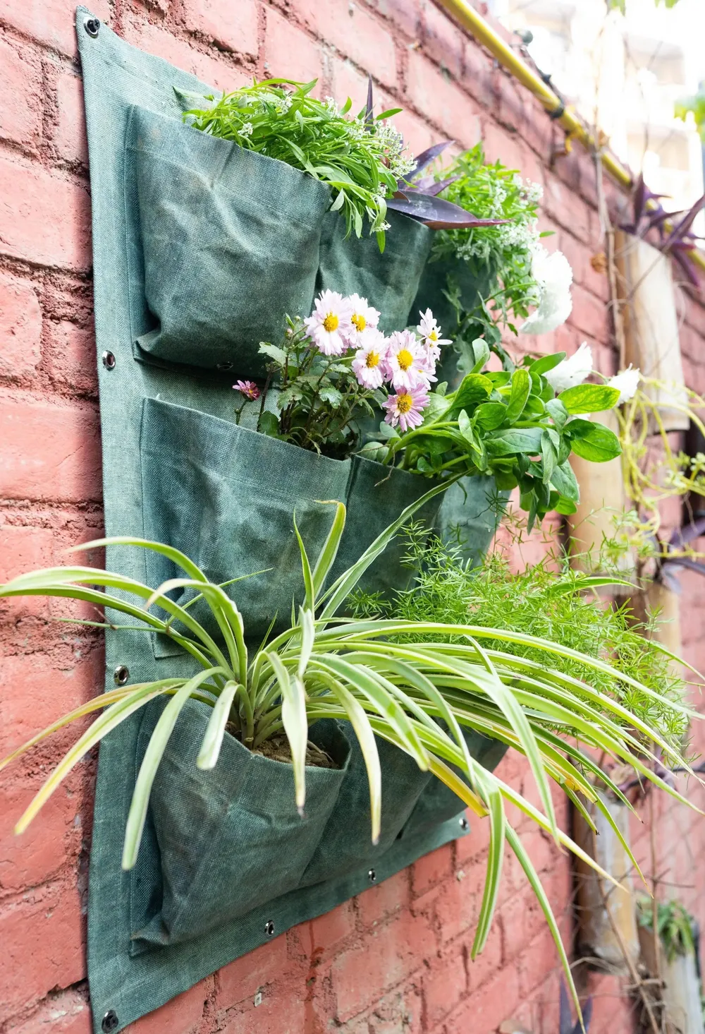 9 Pockets' Elegant Fabric Wall Planter for Green Wall 9' Pocket, Set of - 1