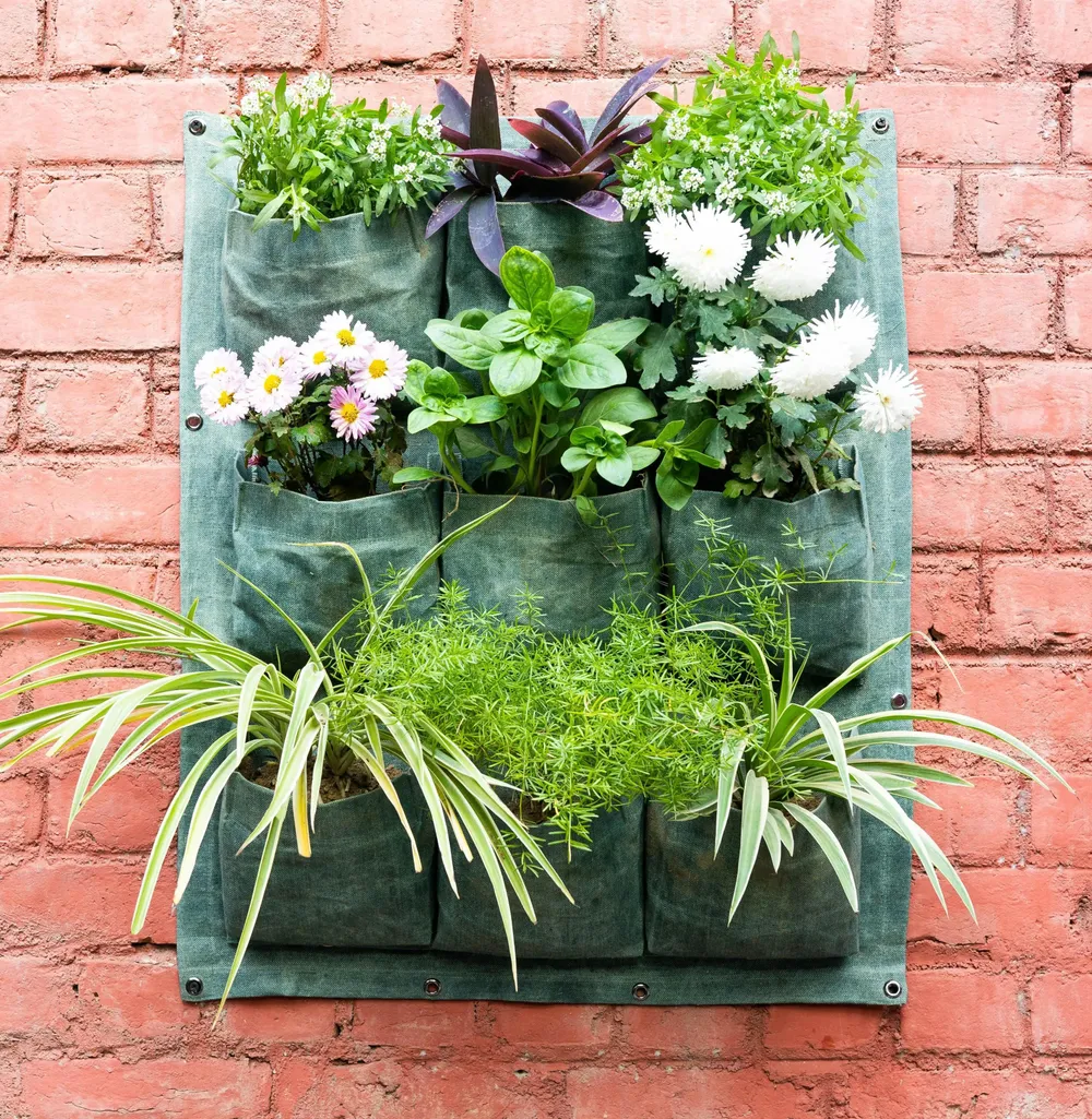 9 Pockets' Elegant Fabric Wall Planter for Green Wall 9' Pocket, Set of - 1