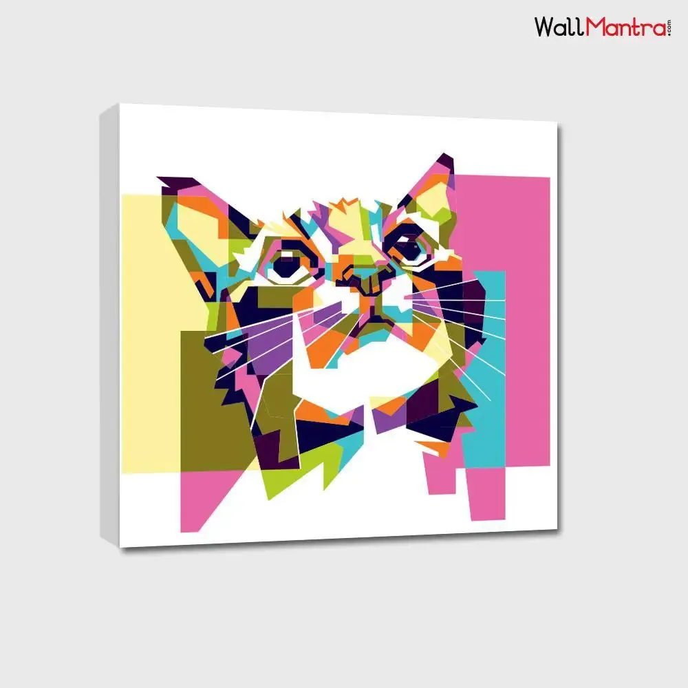 Baby Cat Colourful DIY(Do-It-Yourself)/ Paint by numbers canvas painting kit