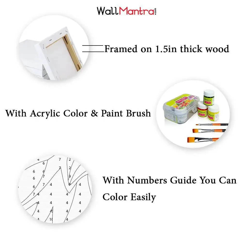 Beautiful Abstract Flowers Colourful DIY(Do-It-Yourself)/ Paint by numbers canvas painting kit