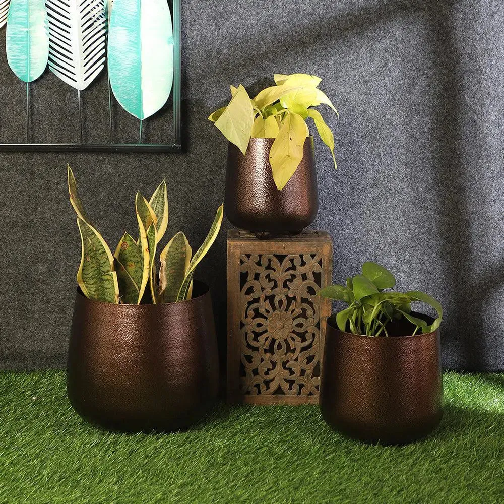 Beautiful Copper Hammered Bowl Planter Set of 3
