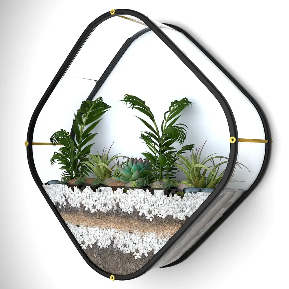 Beautiful Diamond Shaped  Transparent Wall Terrarium