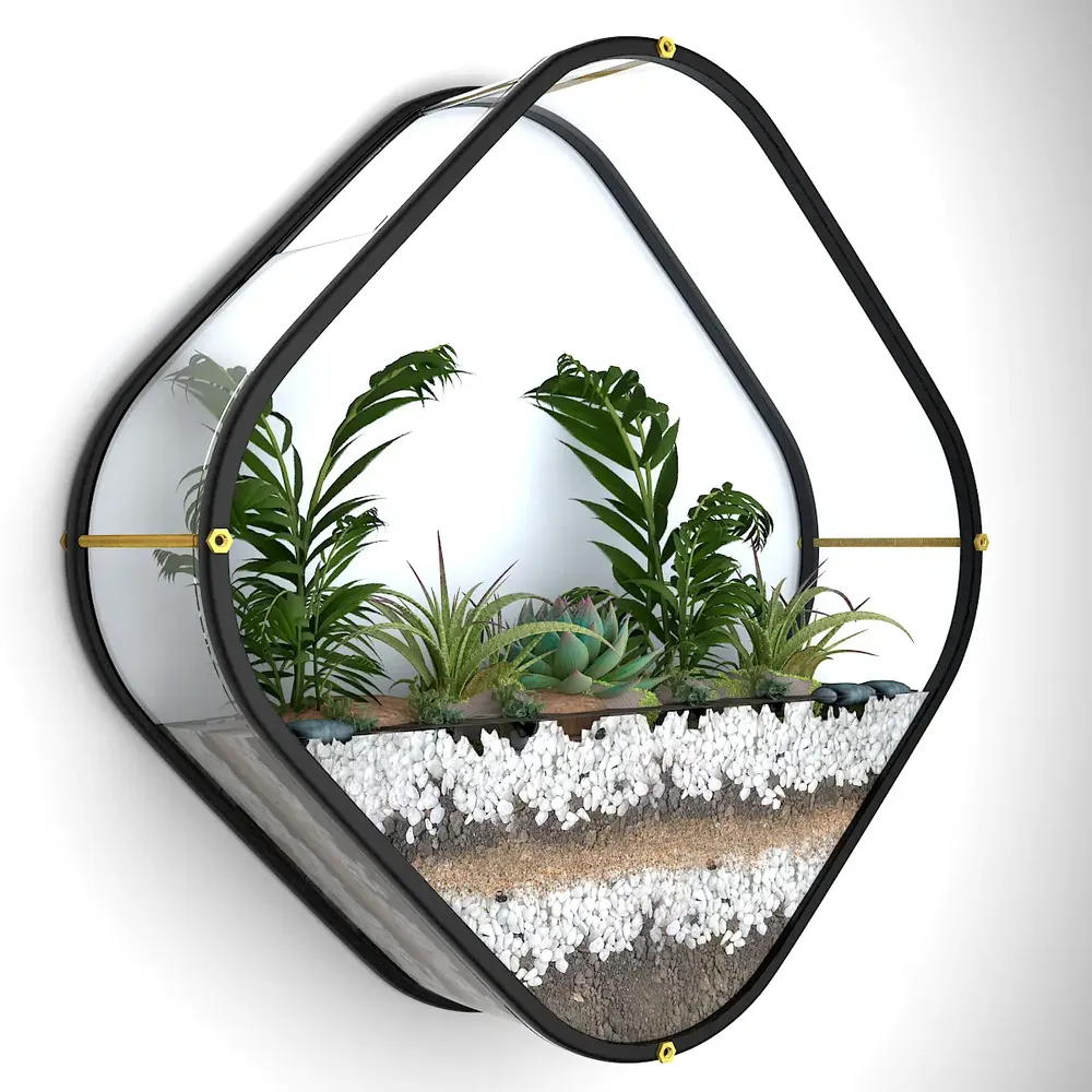 Beautiful Diamond Shaped  Transparent Wall Terrarium