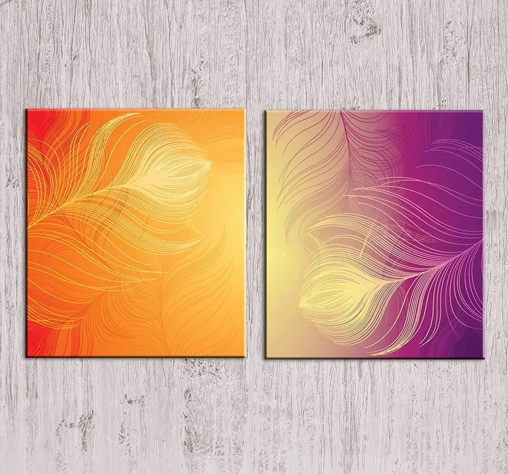Beautiful Feather design  / 2 Pieces Canvas Print /Stretched and Framed on Wood/31cm x 41cm Each