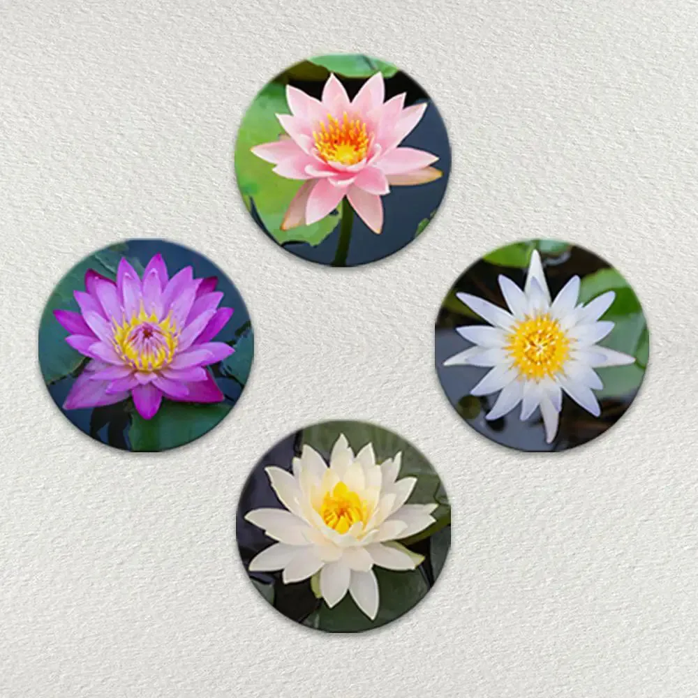 Beautiful Lotus Flower Round Shape Canvas Wall Painting - 4 Set
