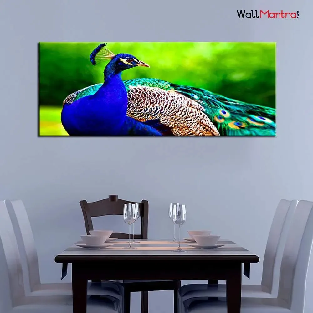 Beautiful Peacock Big Panoramic Canvas  Wall Painting With Frame