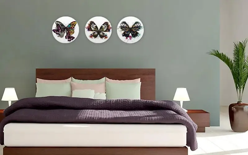 Beautiful Round Shape Butterfly Canvas Wall Painting Set of 3