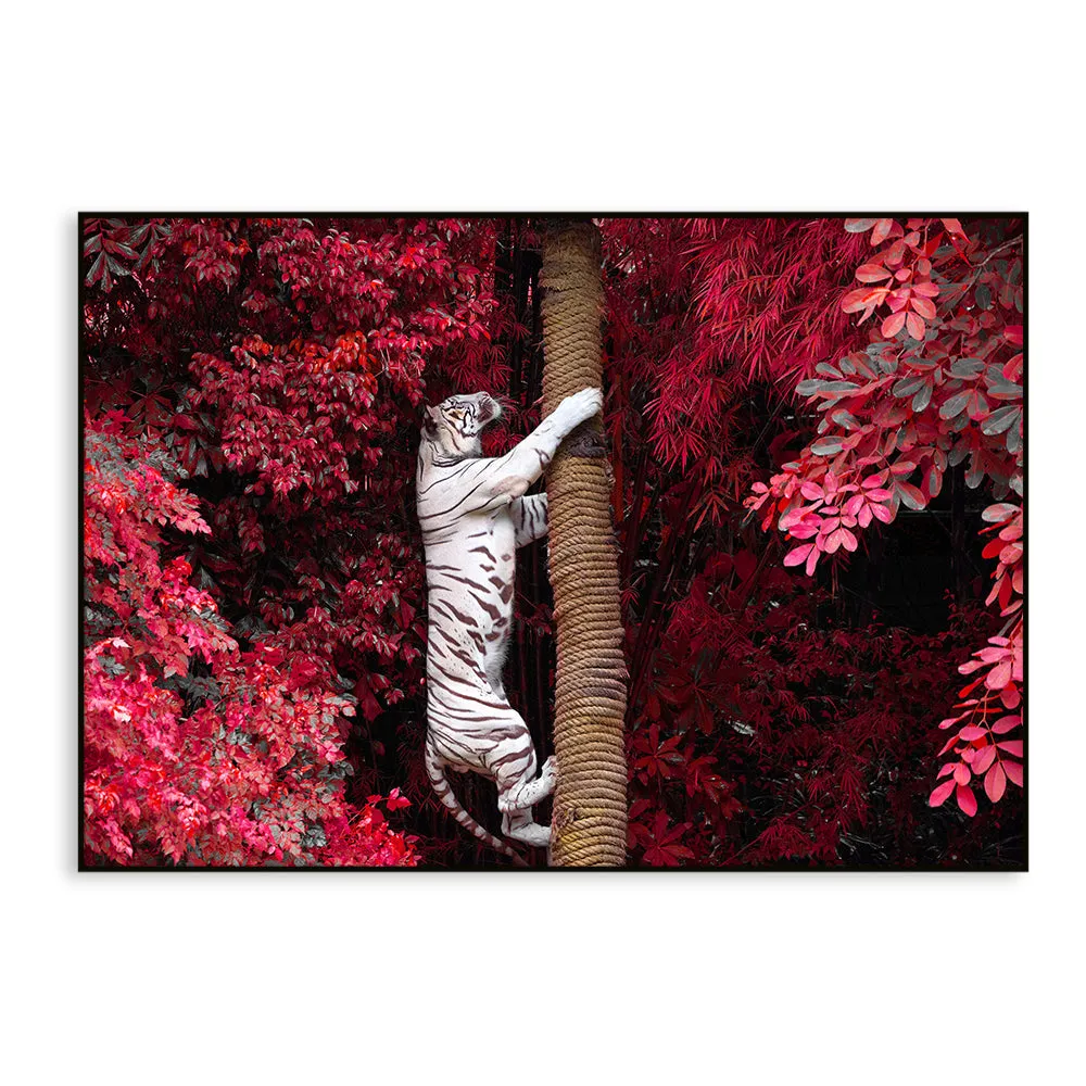 Beautiful White Tiger Realistic Wild Animal Painting With Floating Frame
