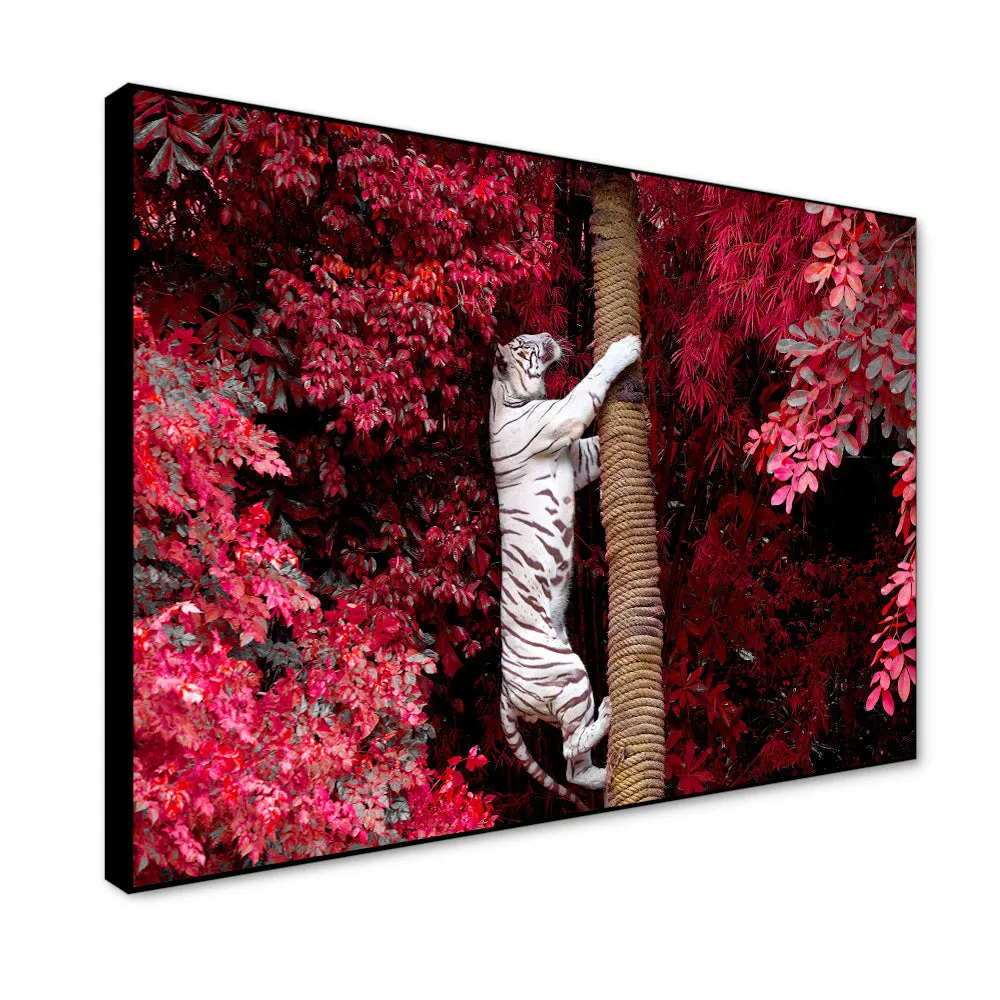 Beautiful White Tiger Realistic Wild Animal Painting With Floating Frame