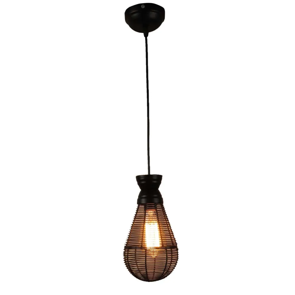 Black Caged Focus Metal Hanging Light