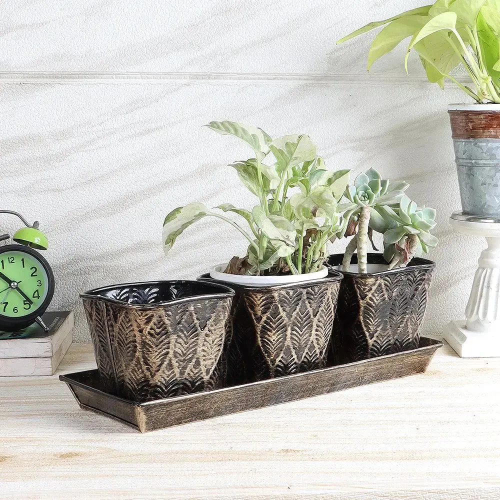 Black & Gold Metal Table Planters with Tray (Set of 4)