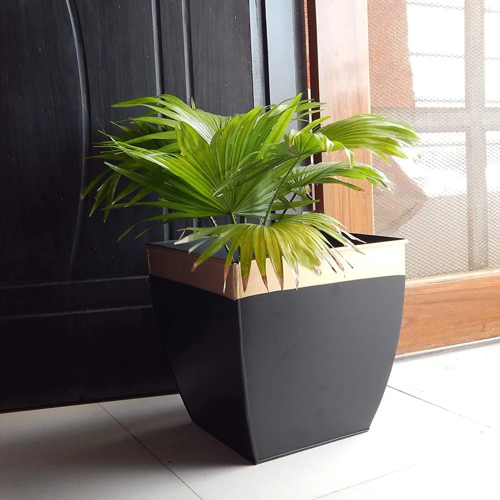 Black & Golden 8 Inches Metal Tapered Plant Pot Set Of 2
