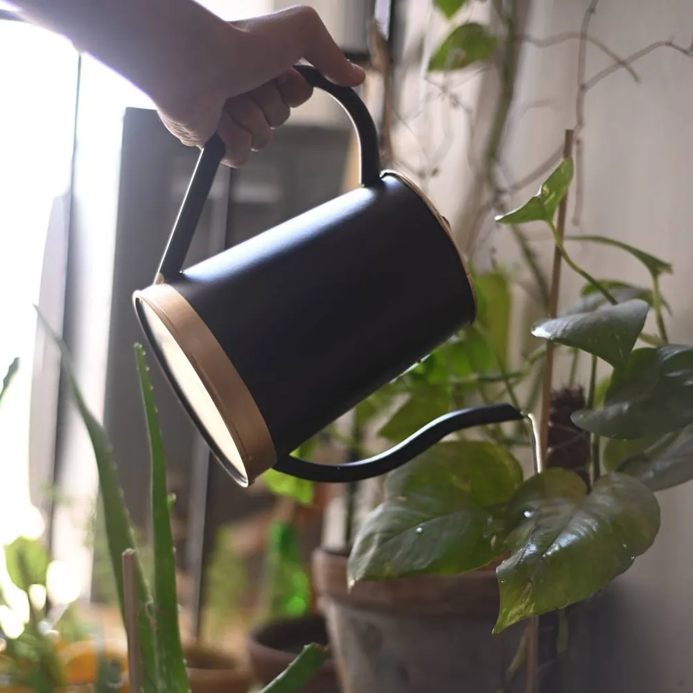 Black Metal Watering Can for Home Gardening