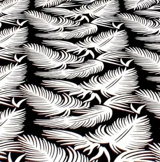 Black & White Printed 144 TC Cotton Double Bedsheet with Pillow Covers