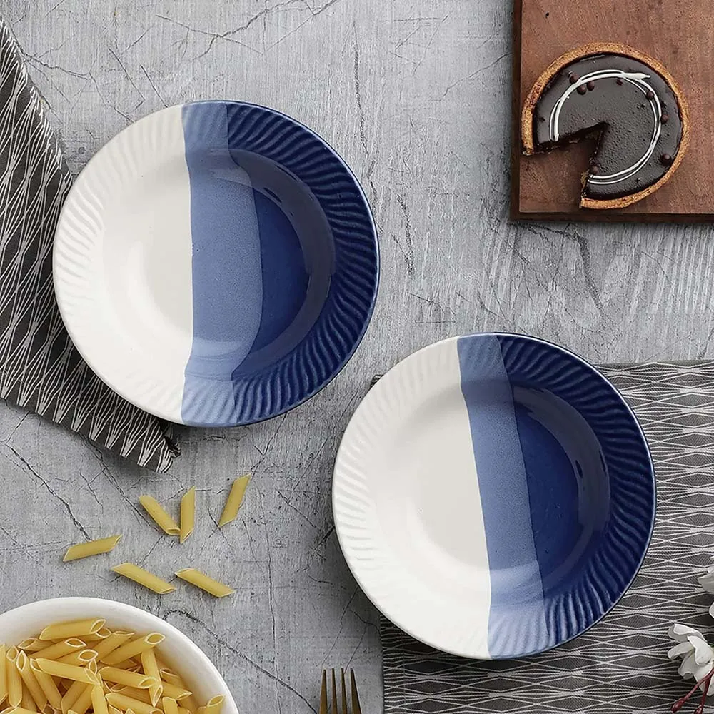 Blue & White Toned Ceramic Dinner Plates Set Of 2