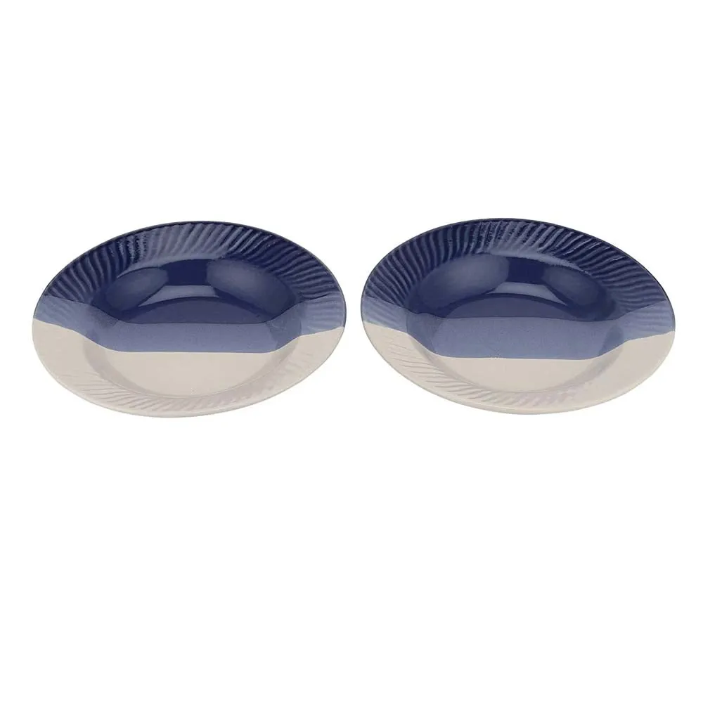 Blue & White Toned Ceramic Dinner Plates Set Of 2