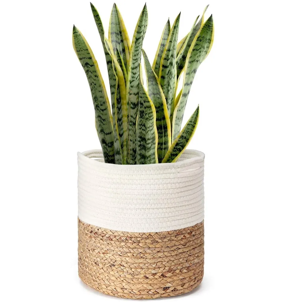 Boehmian Designer White & Brown Woven Cotton Rope Planter