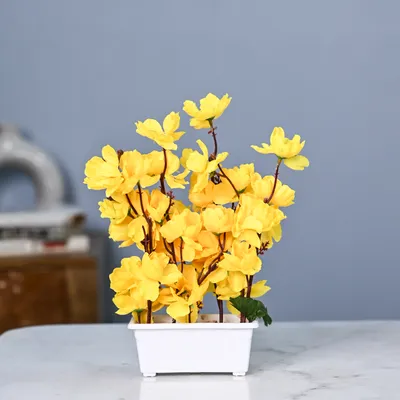 Bright Yellow Artificial Orchid With Pot