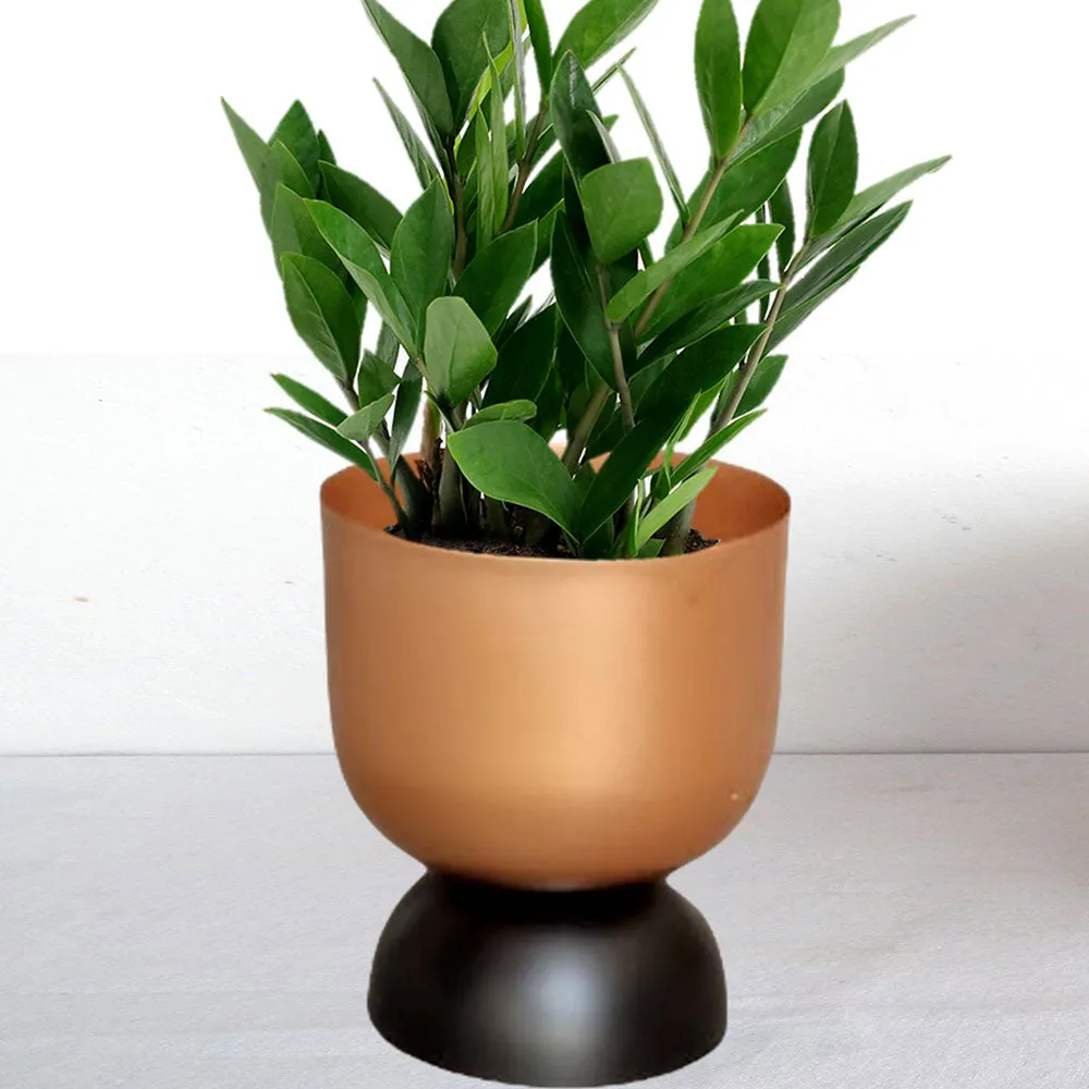 Bronze Polish Luxe Metal Plant Pot Set Of 1 & 2