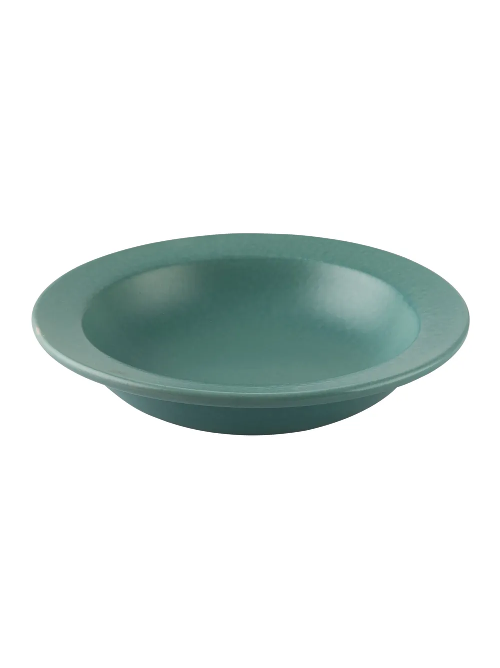 Ceramic Hand-Painted Matte Finish Turquoise Pasta Plate Set Of 2