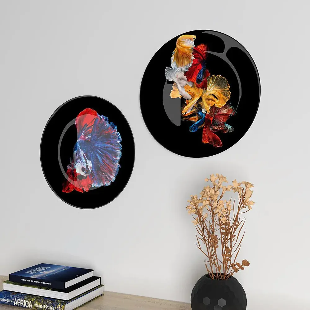 Ceramic Wall Plates With Colorful Fish Art Round Shape, Wall Hanging.