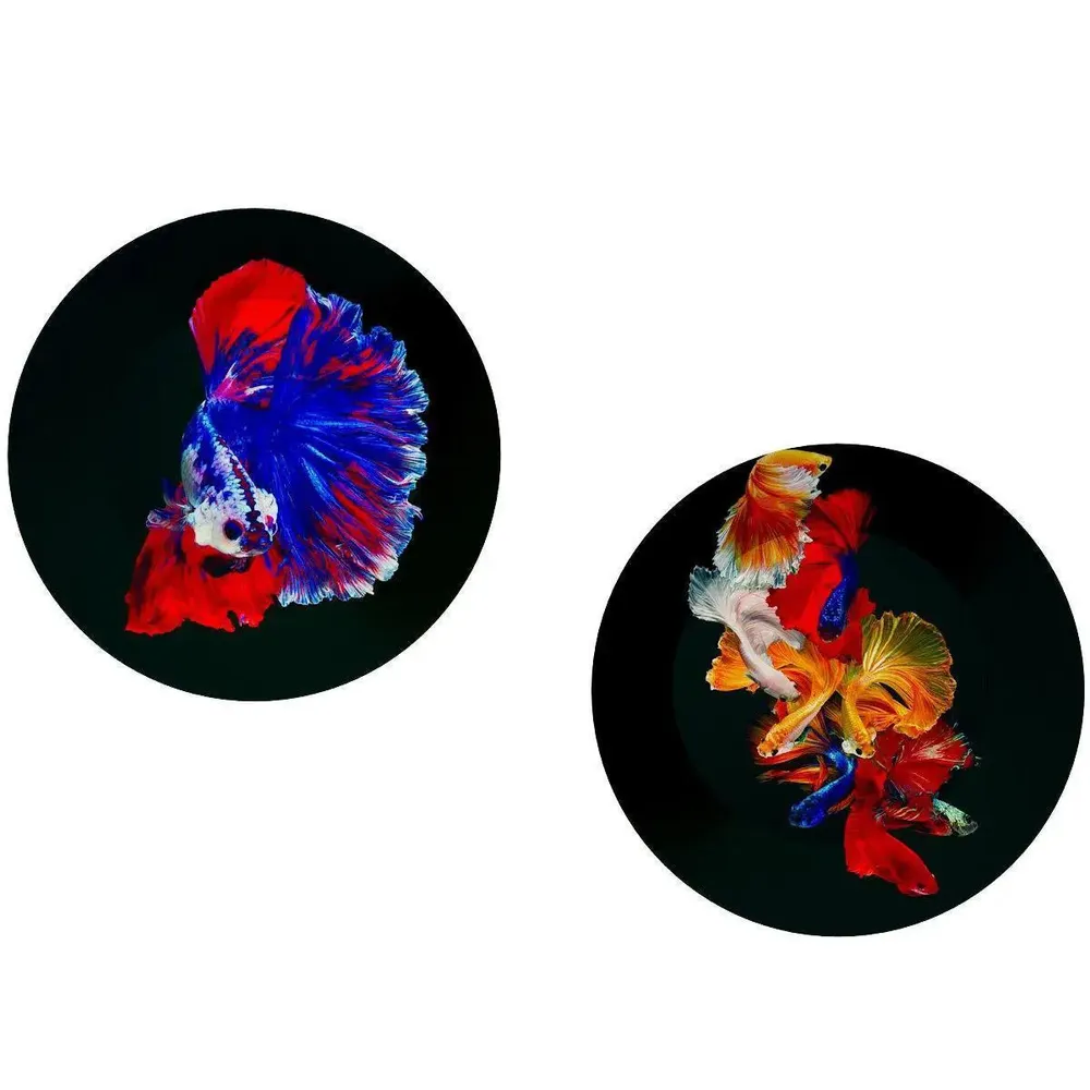 Ceramic Wall Plates With Colorful Fish Art Round Shape, Wall Hanging.