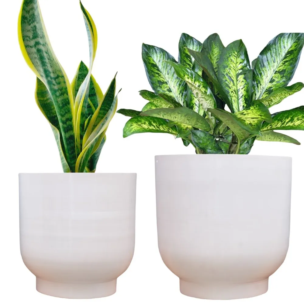 Chic White Metal Mini Desk Planter Set of 2