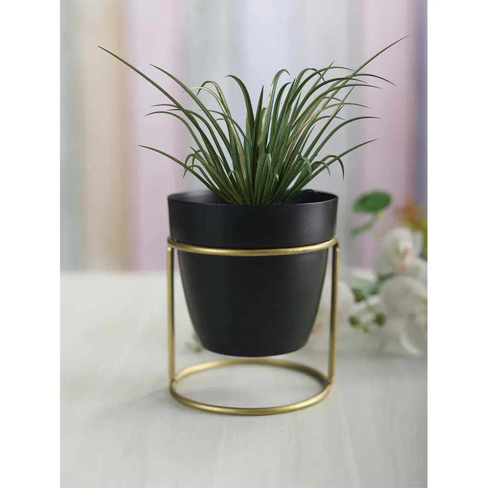 Classic Black and Gold Toned Resilient Metal Planter Stand Set Of 1 Single Piece