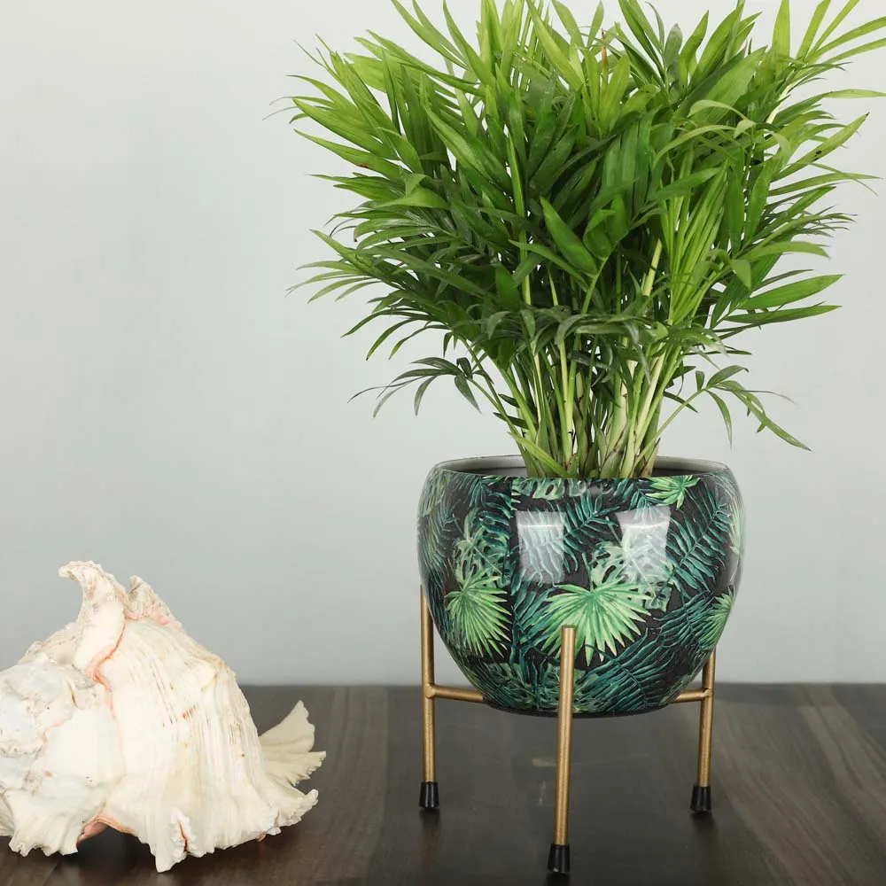 Classic Black Resilient Metal Planter Stand Set Of 1 Single Piece