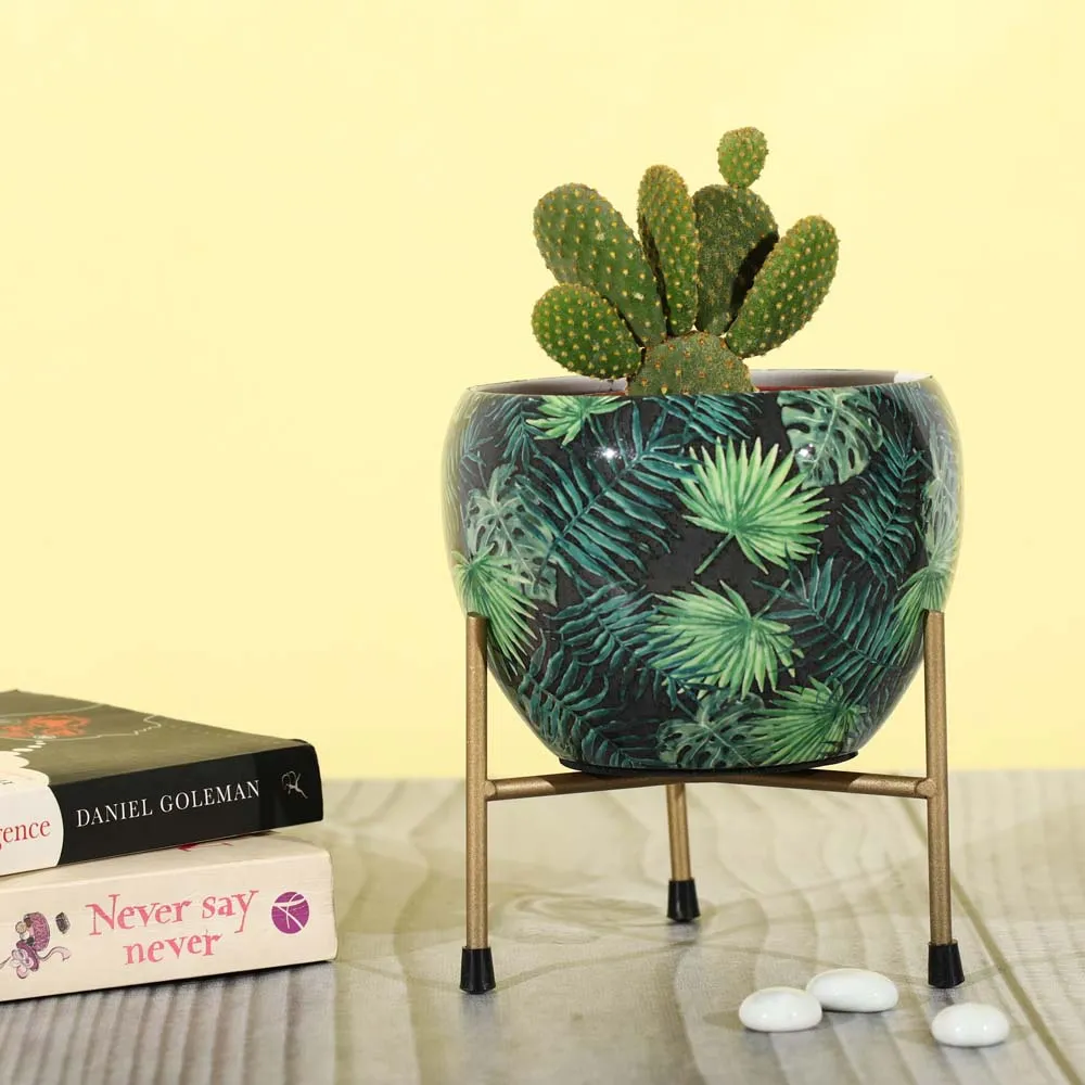 Classic Black Resilient Metal Planter Stand Set Of 1 Single Piece