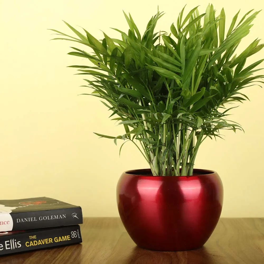 Classic Dark Red Resilient Metal Plant Pot Set Of 1