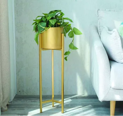 Classic Golden Metallic Pot