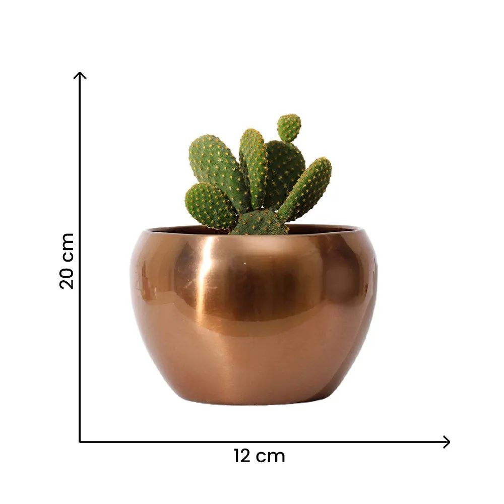 Classic Rose Gold Resilient Metal Plant Pot Set Of 1 Single Piece