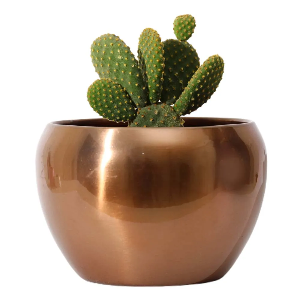 Classic Rose Gold Resilient Metal Plant Pot Set Of 1 Single Piece