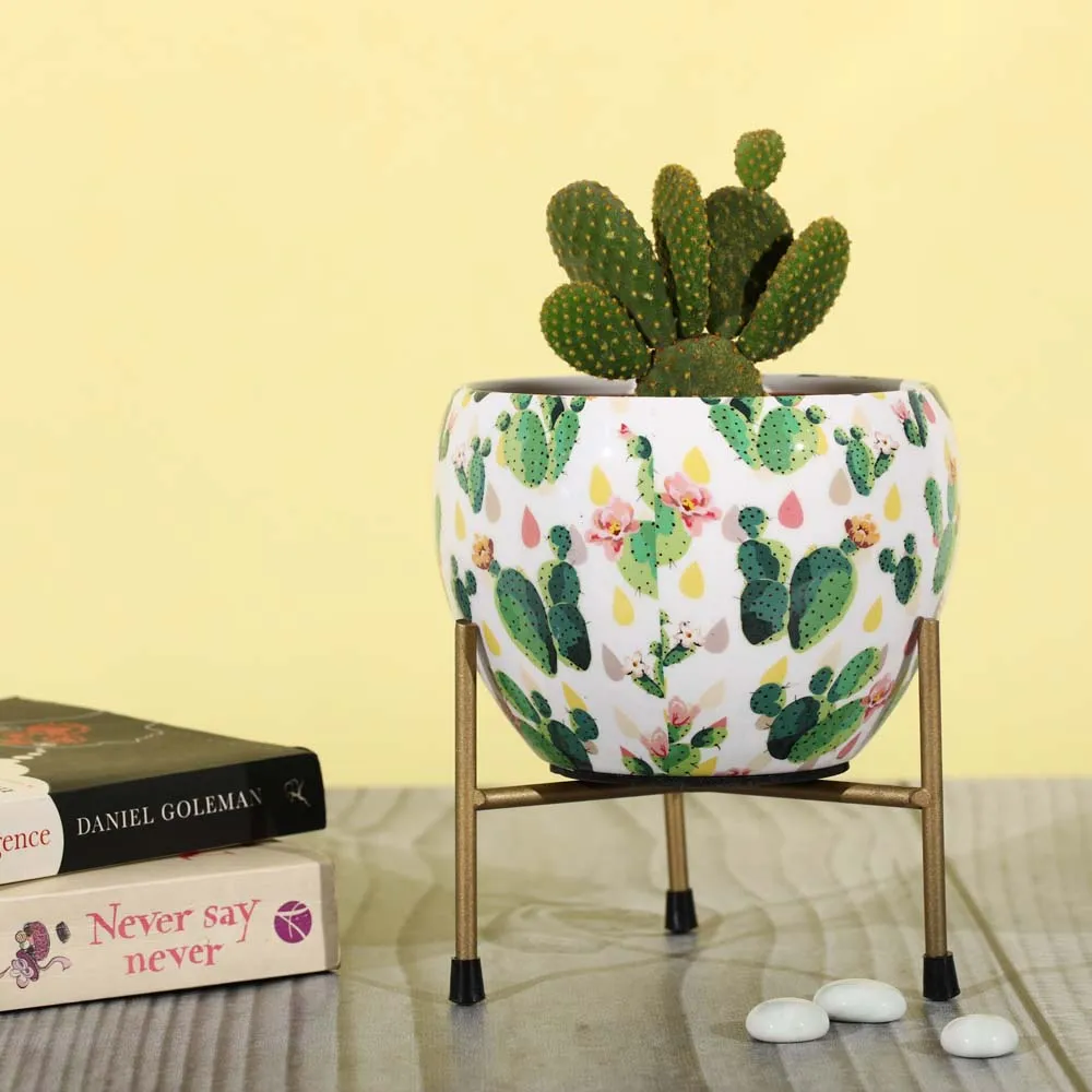 Classic White and Gold Resilient Metal Planter Stand Set Of 1