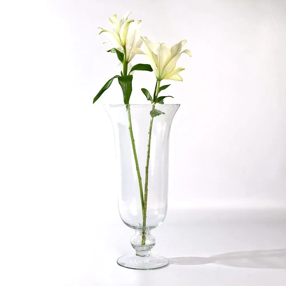Clear Glass Flower Vase