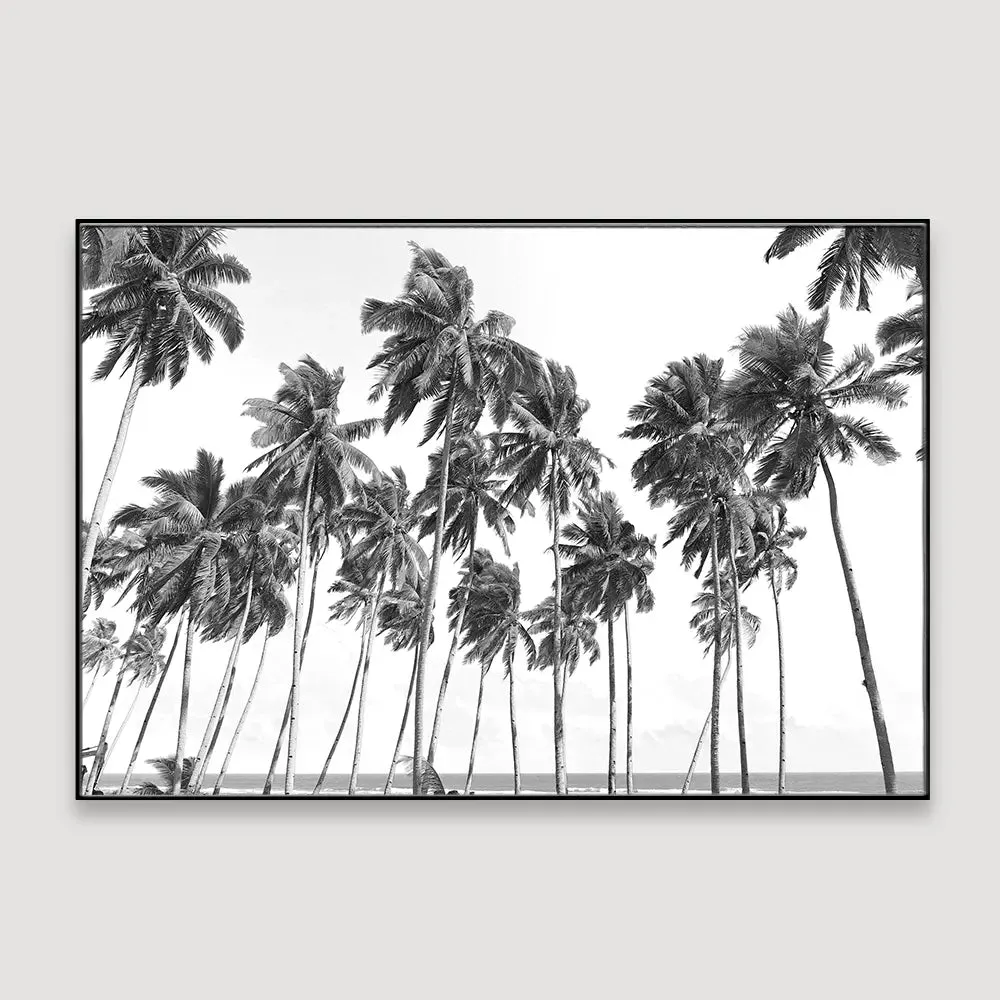 Coconut Trees Framed Wall Art With Floating Frame