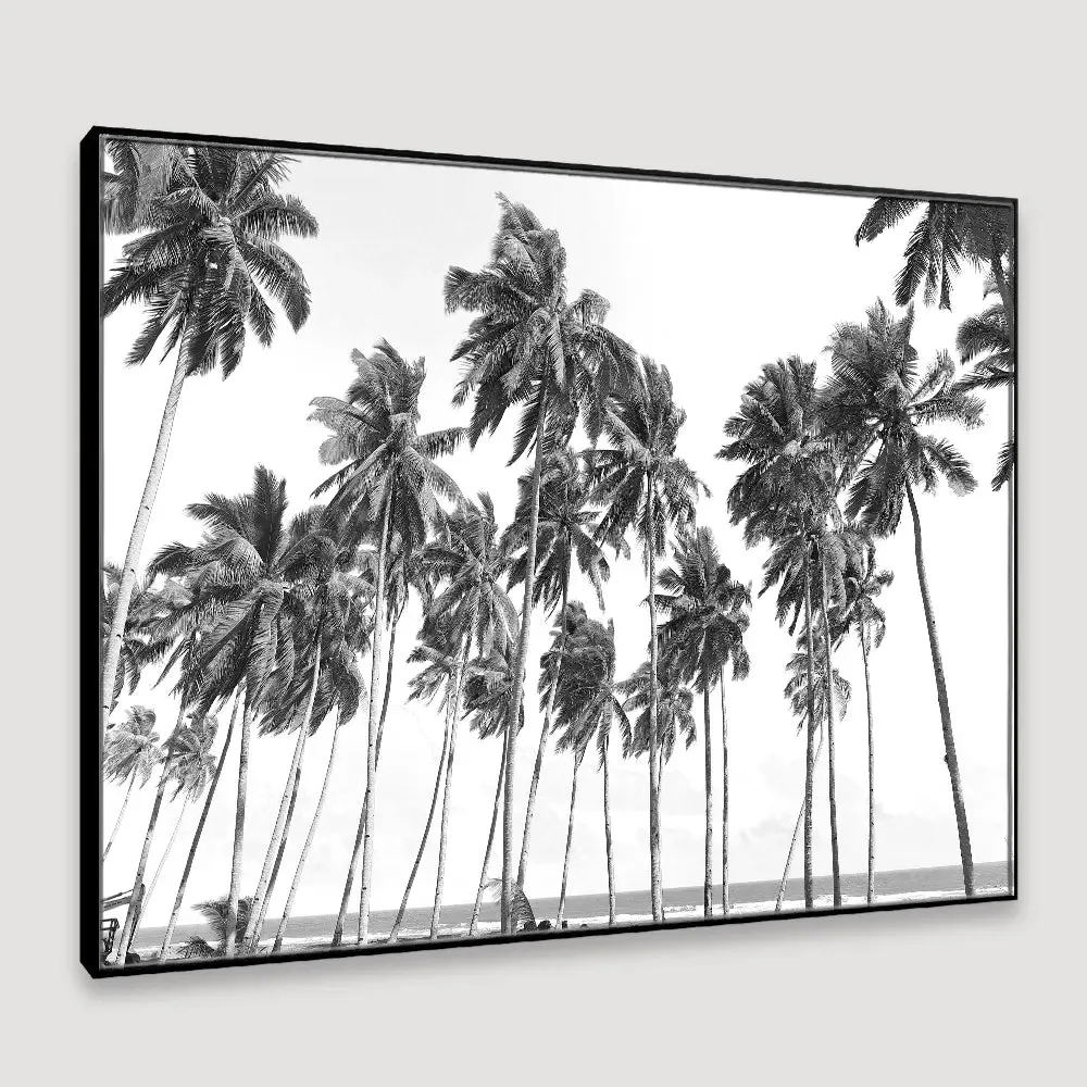 Coconut Trees Framed Wall Art With Floating Frame