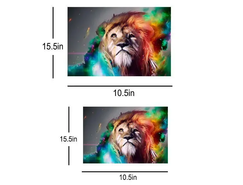 Colorful Lion Laptop Skin (Free Size For 13 Inch to 15.6 Inches)