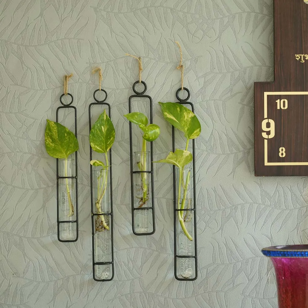 Contemporary Black Test Tube Planters Set Of 4