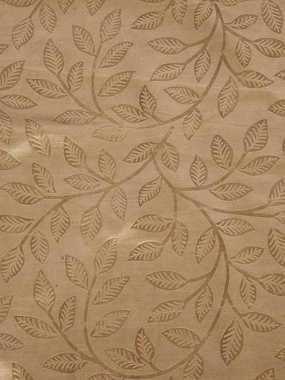 Cortina Camel Color Designer Eyelet Window Curtain Pack Of 2