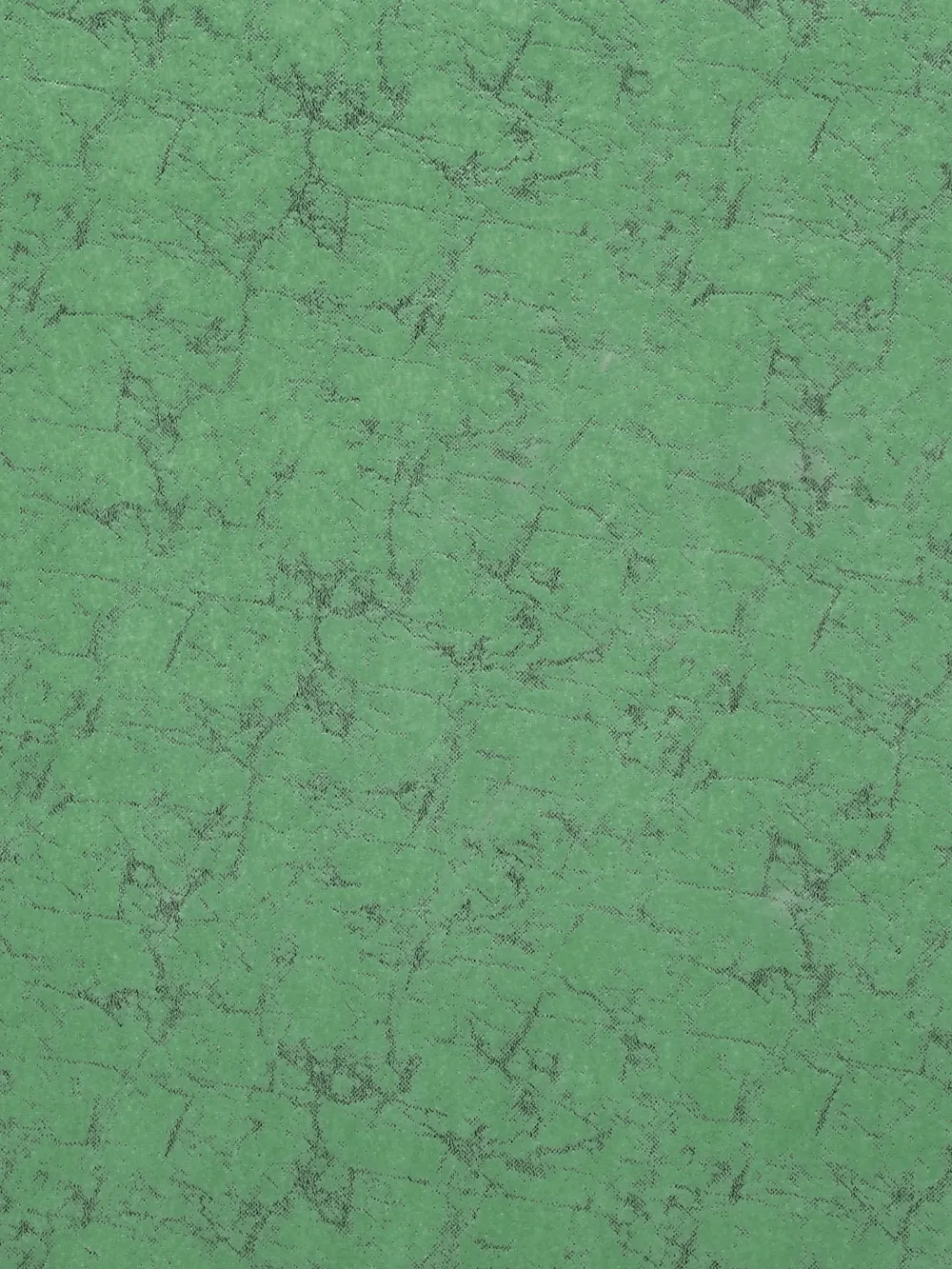 Cortina Luscious Green Velvet Soft Eyelet Curtain-Set of 2 Window