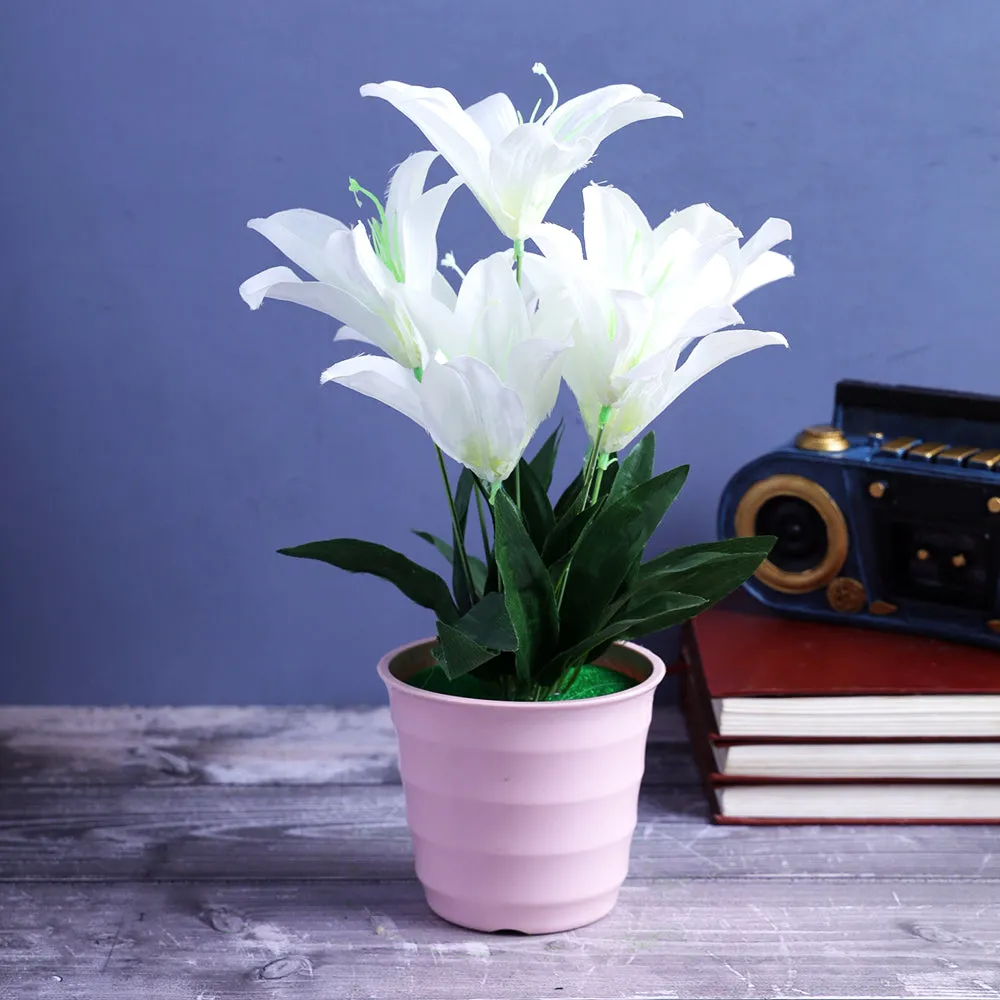 Crafted Baby Pink Small Flower Pot With White Flowers