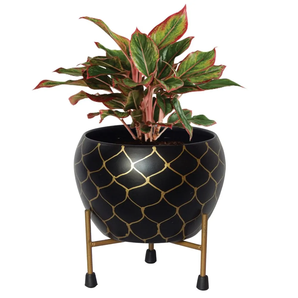 Criss-cross Web Pattern Black Indoor Metal Plant Stand with Pot Single Piece