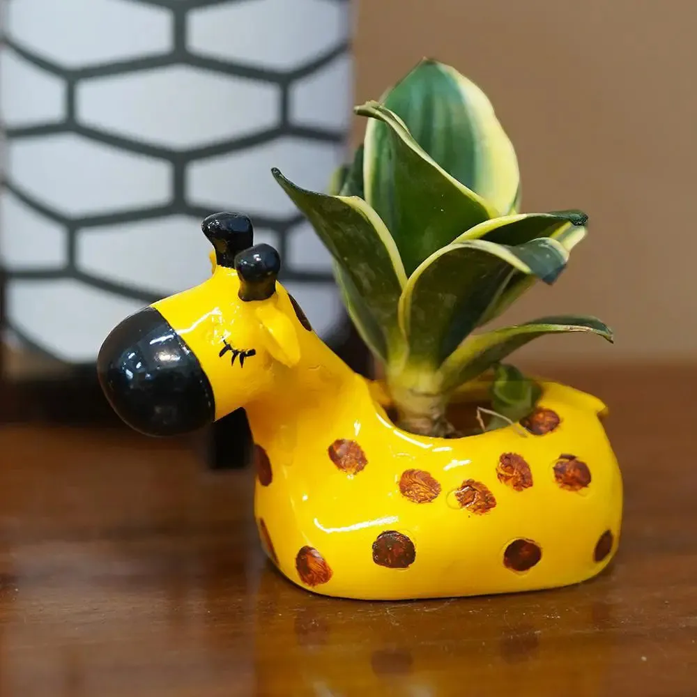 Cute Baby Cartoons Animal Family Desk Planter Flower Pot for Home Decor Set of 3
