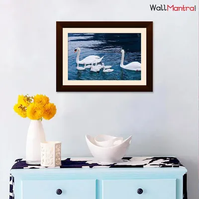 Cute Ducks Nature Wall Framed Painting