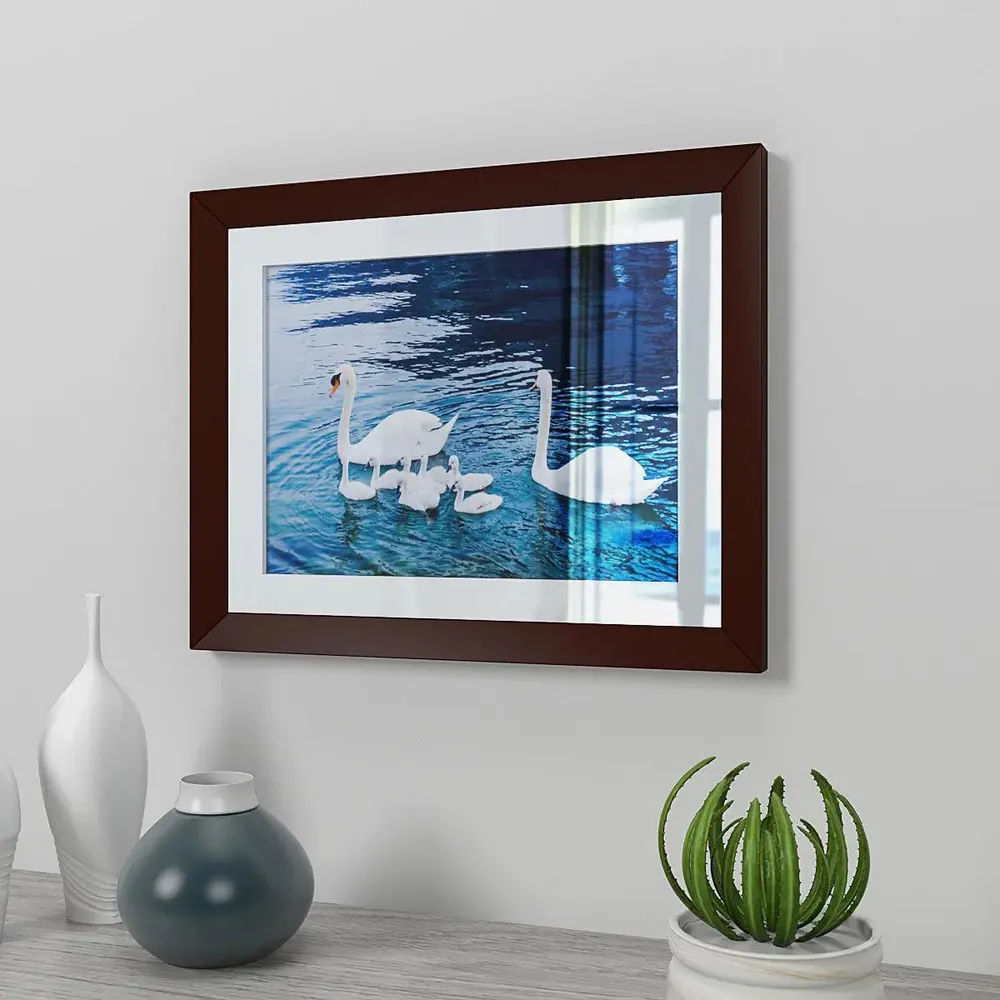 Cute Ducks Nature Wall Framed Painting