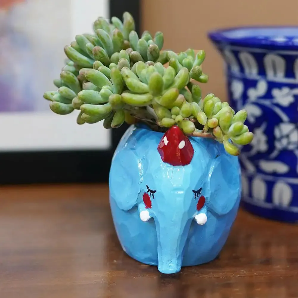 Cute Fatty Animals Desk Planter Flower Pot for Home Decor Set of 3